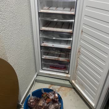 Vestel Servis Ekibi Asansör Şalterine Müdahalesiyle Komşunun Buzluğundaki Gıdaları Yok Etti