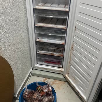 Vestel Servis Ekibi Asansör Şalterine Müdahalesiyle Komşunun Buzluğundaki Gıdaları Yok Etti