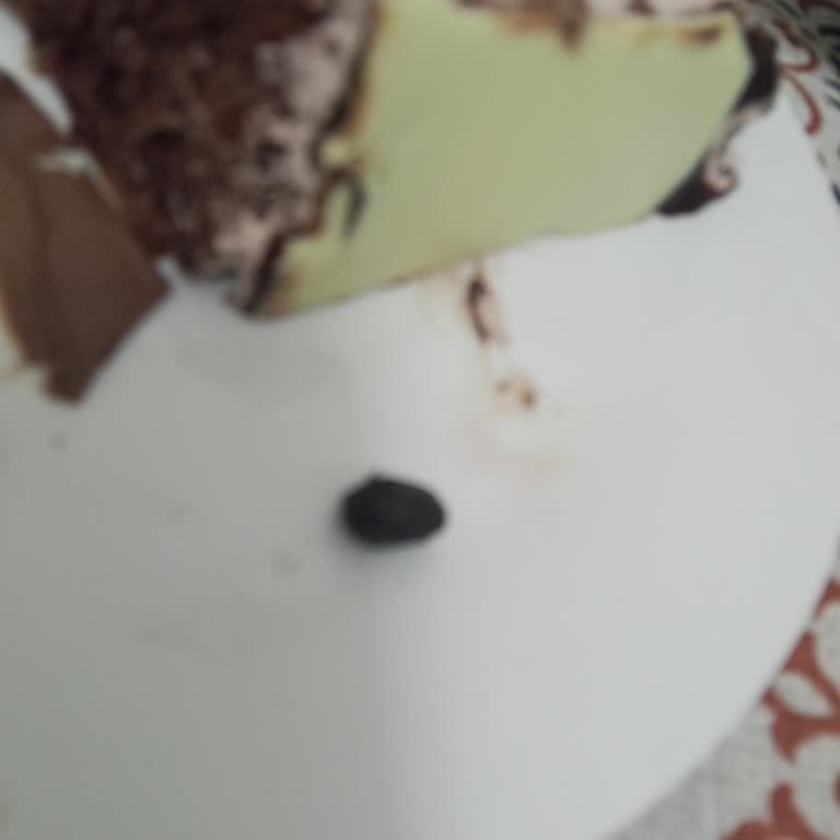 Yaş Çikolatalı Pastada Zeytin Çekirdeği Bulunması Hijyen İhmali Olarak Değerlendirildi