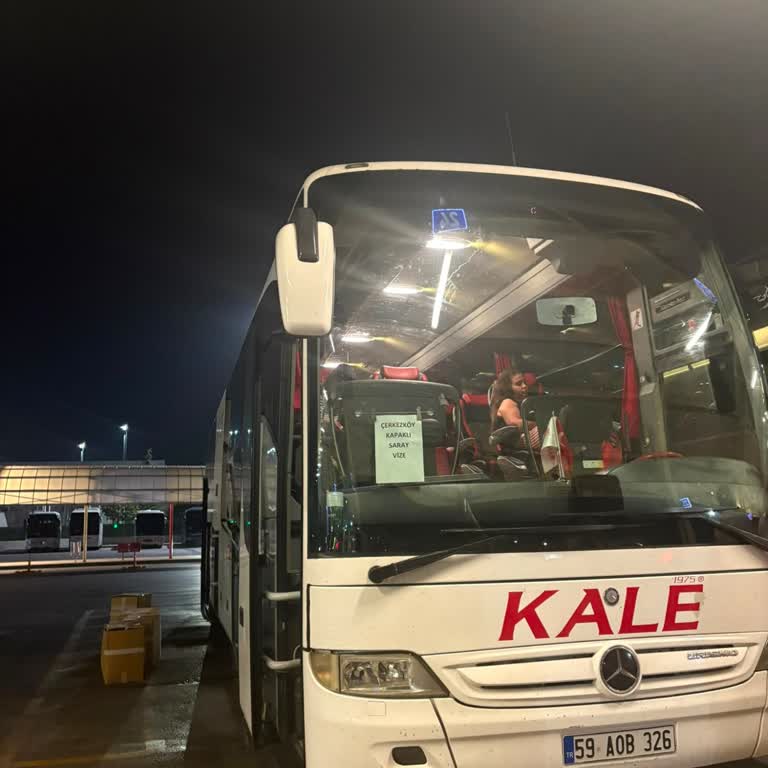 Kale Seyahat’te Kedi Kucağa Geldi, Alerjik Yolcuyu Sağlık Riskiyle Karşı Karşıya Bıraktı