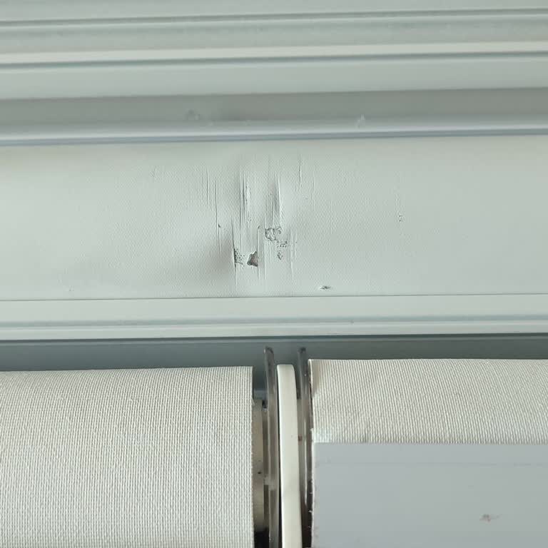 Delik Deşik Karartma Storlarım Ve Cevapsız Müşteri Hizmeti
