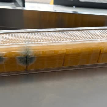Metro Market'te Soğuk Zincir İhlali Nedeniyle Küflü Peynir, Değişim Reddi