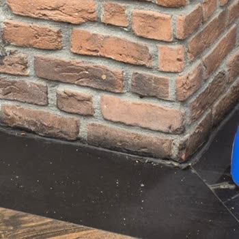 Köfteci Yusuf Şubesinde Hamam Böcekleri Görüldü, Çalışanlar Gülerek Karşılık Verdi