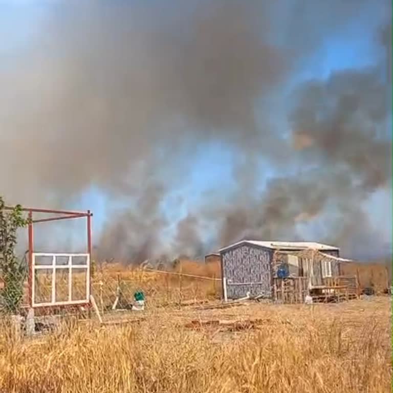 Tekirdağ Yeniçiftlik'te Kontrolsüz Alkol Ve Yasa Dışı Madde Kullanımı Yangın Korkusuna Yol Açıyor