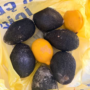 Bozulmuş Avokado Siparişi Ve Geri Ödeme Talebi