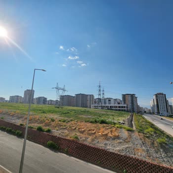 İhmal Edilen Lavanta Bahçesi Alanında Kuruyan Ağaçlar Ve Sulama Eksikliği