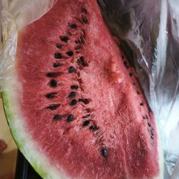 CarrefourSA'dan Bozuk Karpuzlar İçin Tazminat Ve Kalite Kontrol Talebi
