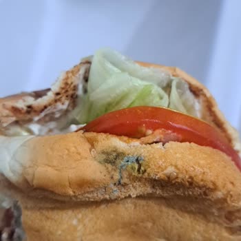 Mavi Yeşil Küflü Burger Ekmeği Hijyen İhlali Ve İade Talebi
