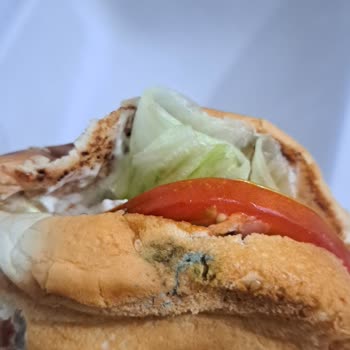 Mavi Yeşil Küflü Burger Ekmeği Hijyen İhlali Ve İade Talebi