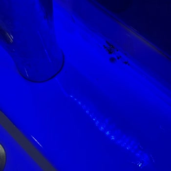 Kleopatra Blue Hawaii Hotelde Karaböcek Sorunu Ve İade Talebi