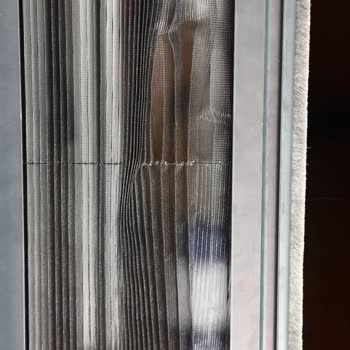 Defolu Pileli Sineklik Geldi, İade Ve Özür Bekliyorum