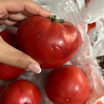 Migros Hemen Siparişindeki Bozuk Domatesler Ücret İadesi Talebi