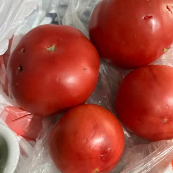 Migros Hemen Siparişindeki Bozuk Domatesler Ücret İadesi Talebi