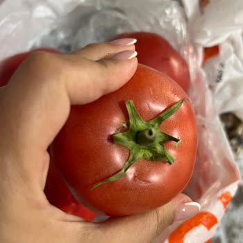 Migros Hemen Siparişindeki Bozuk Domatesler Ücret İadesi Talebi