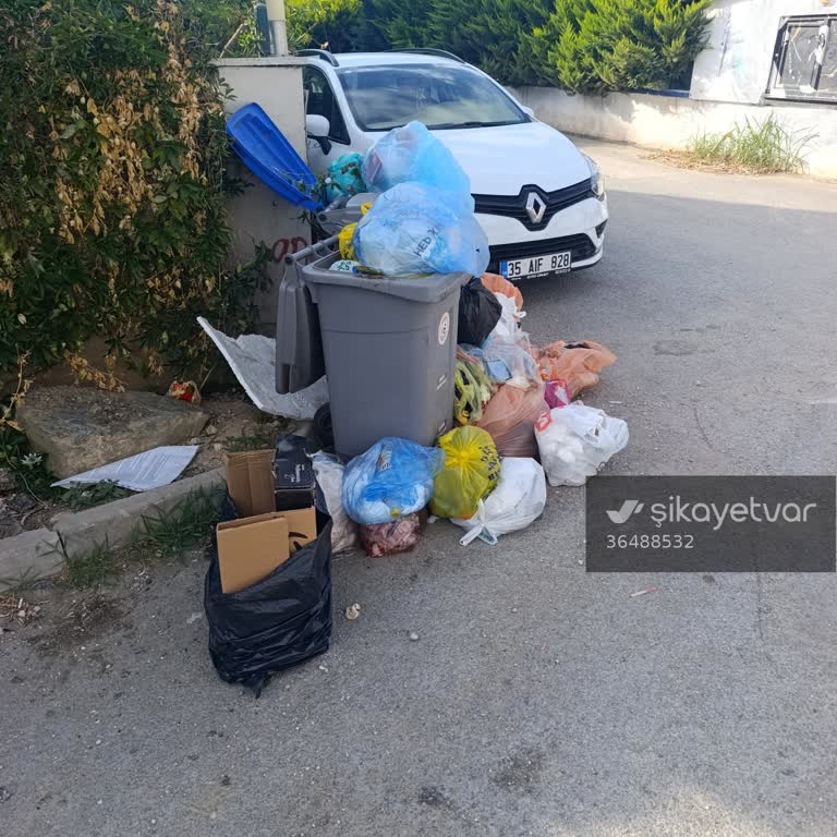 Bortaçina Apart Çöplerinin Balkon Önünde Koku Ve Sinek Sorunu