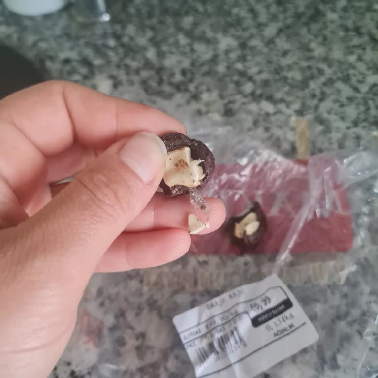 Kaju Drajesinde Kurt Bulunması Çocuk Sağlığını Tehdit Ediyor