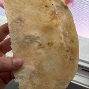 Aras Unlu Mamüller | Bornova Hijyen Konusunda Yetersiz