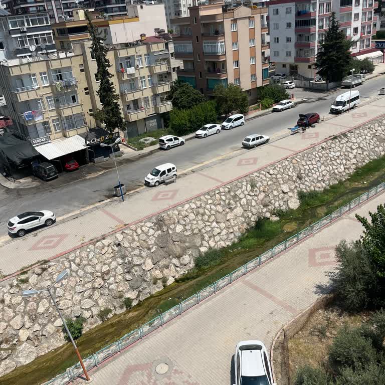 Deredeki Otlar Sıcaklarda Sinek Ve Böcek Seline Yol Açıyor, Alerjiler Artıyor