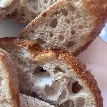 Vaat Edilen Koruma Sağlamayan Balmumu Ekmek Torbaları Ve Geciken Teslimat