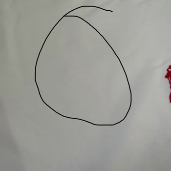 Defolu Ürün İadesi Ve Para İadesi İçin Satıcı Ve Shopier'den Cevap Yok