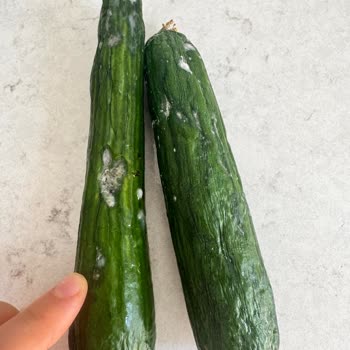 Arçelik Buzdolabının Sürekli Ses Ve Gıda Bozulması Sorunu Değişim Ve İade Talebi
