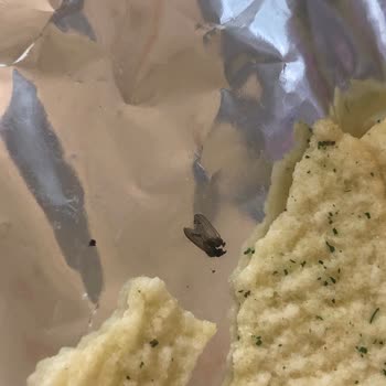 Migros Lays Fırından Yoğurt Ve Mevsim Yeşillikleri Cipsinde Sinek Kanadı Bulundu