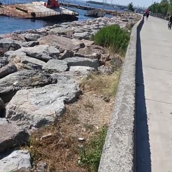 Çevre Ve Şehircilik Bakanlığı Deniz Felaketi