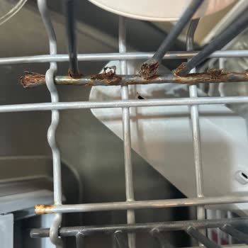 Arçelik Bulaşık Makinesi Sepet Paslanması Ve Kopma Sorunu