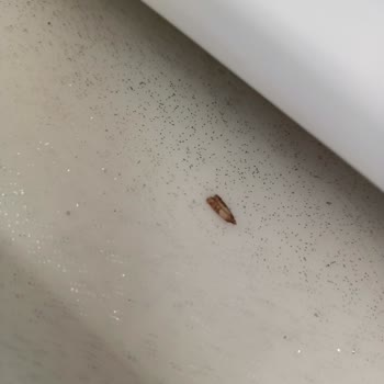 Kurtlu Makarna Üzerinde İade Reddi Ve Güven Kaybı