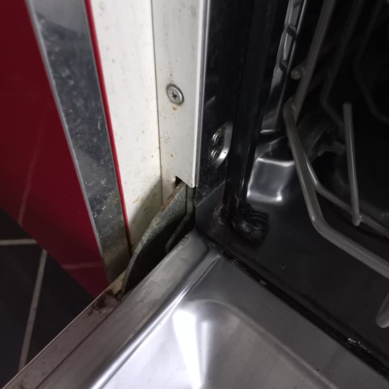 10 Yaş Üzeri Silverline Bulaşık Makinesinin Kapak Menteşesi Yedek Parça Reddedildi