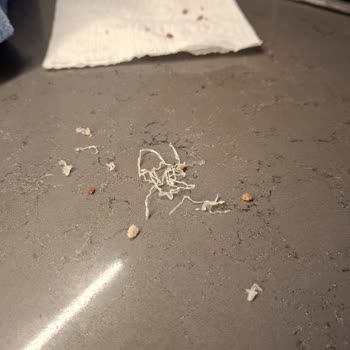 Migros Kıymasında Plastik Parçalar Tespiti