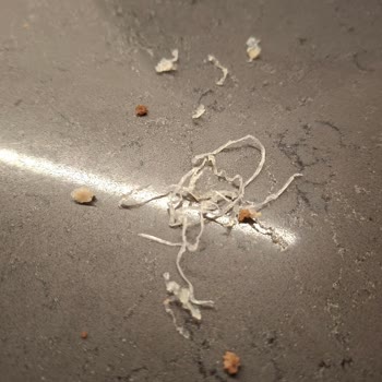 Migros Kıymasında Plastik Parçalar Tespiti