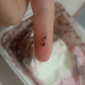 BİM Fair Dondurmasında Böcek Bulunması Şoku