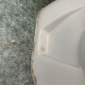 Oscar Seaside Hotelde Bebek Yatağı Eksikliği Ve Yetersiz Servis Nedeniyle Mağduriyet