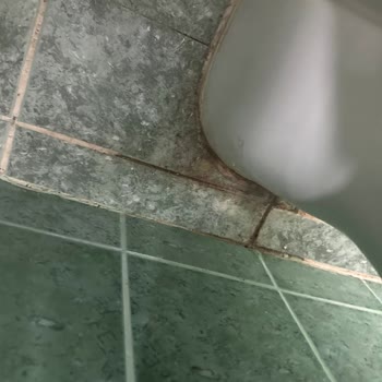 Oscar Seaside Hotelde Bebek Yatağı Eksikliği Ve Yetersiz Servis Nedeniyle Mağduriyet