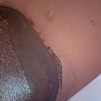 Yasomi Otomatik Kedi Tuvaletinde Silikon Parça Sürekli Çıkıyor