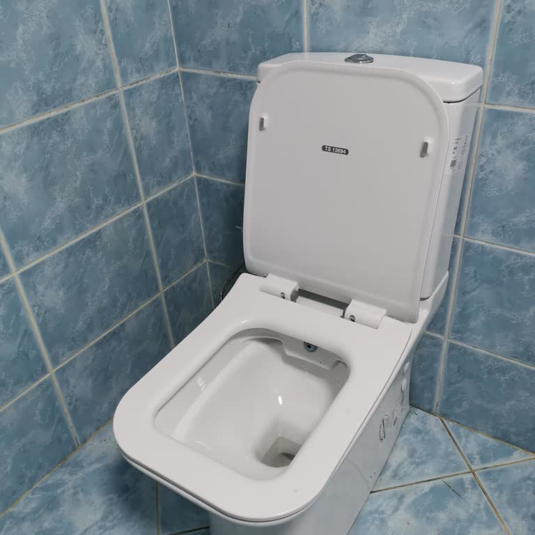 Erkekler İçin Ergonomik Olmayan Bauhaus Klozetinde Hijyen Ve Tıkanma Sorunları