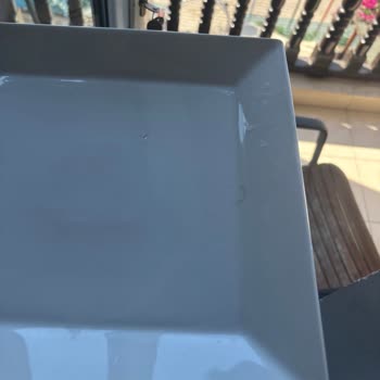 Saç Ve Kan Lekeli Oda, Tatilbudur’un Cevapsızlığı