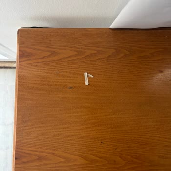 Saç Ve Kan Lekeli Oda, Tatilbudur’un Cevapsızlığı