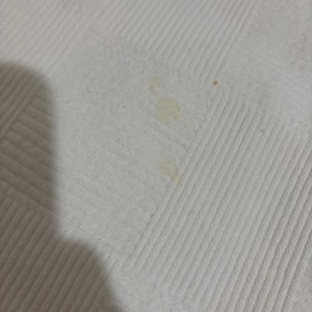 Saç Ve Kan Lekeli Oda, Tatilbudur’un Cevapsızlığı