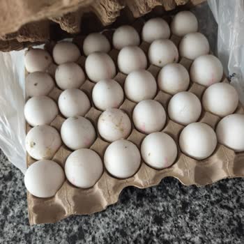 A101 Lüleburgaz Şubesinde Bozulmuş Yumurta Ve Turşu Biber Sağlık Tehlikesi