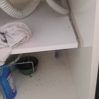 Yanlış Montaj Nedeniyle Bulaşık Makinesi Su Gideri Geri Tepmesi Ve Dolap Hasarı
