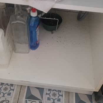 Yanlış Montaj Nedeniyle Bulaşık Makinesi Su Gideri Geri Tepmesi Ve Dolap Hasarı