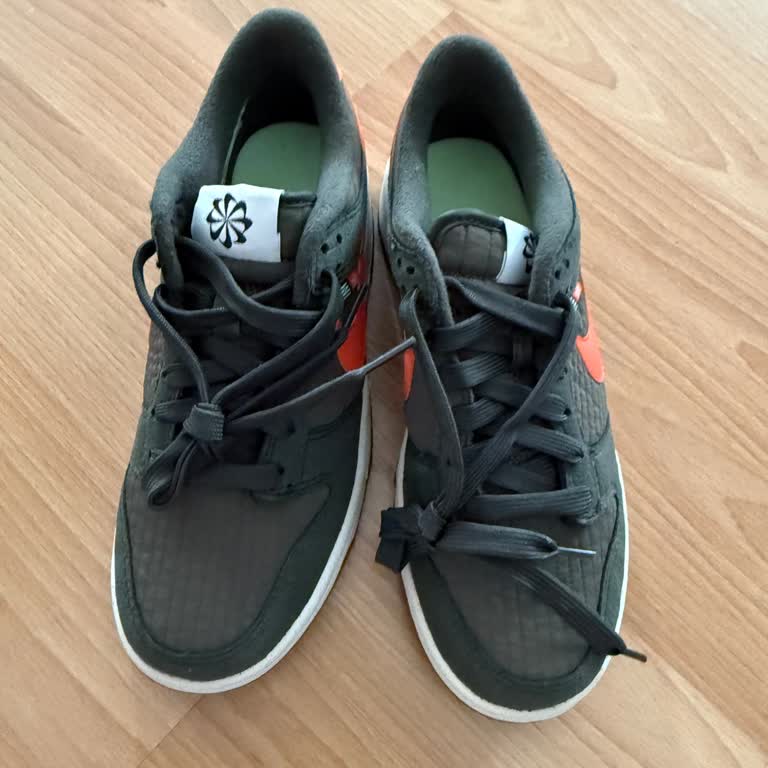 Nike Dunk Low Çifti Yanlış Gönderildi: İki Sol Ayakkabı