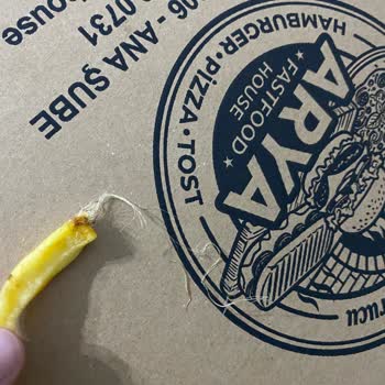 Arya Fastfood Patatesten İp Pizzadan Böcek Çıktı
