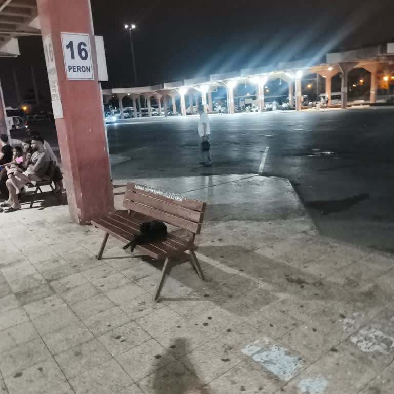 Seyitoğlu Firmasının 22:30 Midyat Seferinde Araç Gelmedi Ve Bilgilendirme Yok