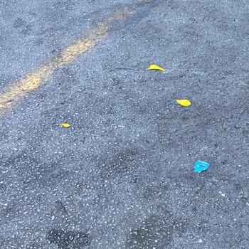 Kamil Koç’ta Valiz Hasarı Ve Çalışan A****’in Saygısız Tavrı