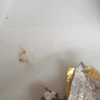 Eti Gıda Hem Şaşırttı Hem De Hijyen Açısından Tedirgin Etti