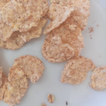 Böcekli Ürün Ve Şirketin Cevapsız Yaklaşımı