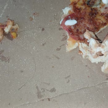 Domino's Şubesinde Hijyen İhlali: Pizza İçinde Saç Teli